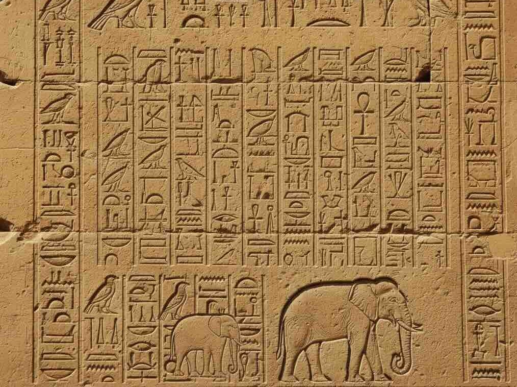 los elefante existen en todos los tiempos