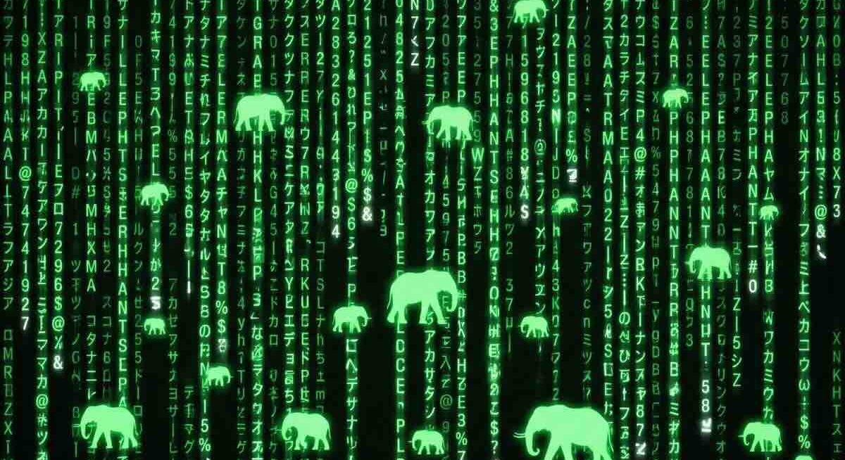 elefante oculto en matriz de datos